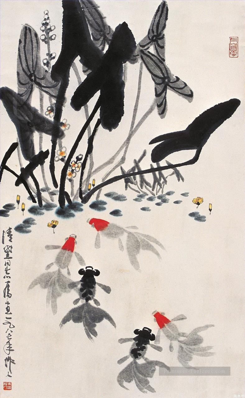 Wu Zuoren Goldfish et les nénuphars vieille Chine à l’encre Peintures à l'huile